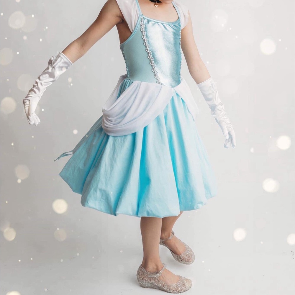 Placard Original NIb Blue Cinderella Cosplay dress size 9/10